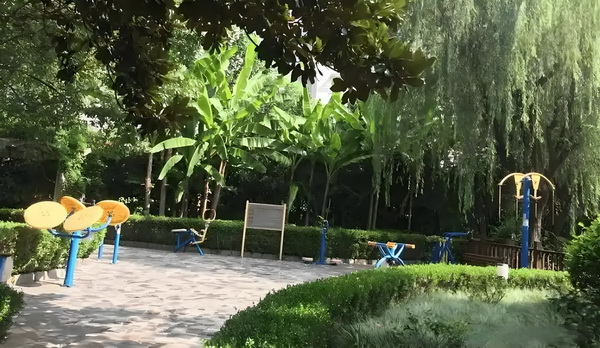 迁户口深圳_女人老了，走不动了，这2件事最好守口如瓶，这才是真聪明 城际快车撞上一辆野猪