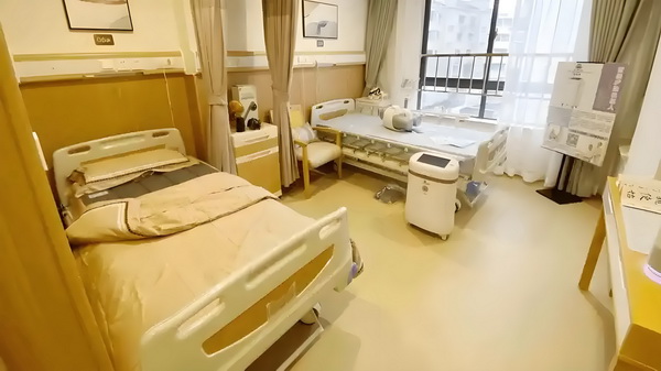 户口迁入规定_2025上海城市形象片焕新发布：上海新一刻，城市因你更美好 城际快车撞上一辆野猪